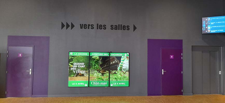 Refonte des couleurs des murs d'une salle de cinéma à Nantes